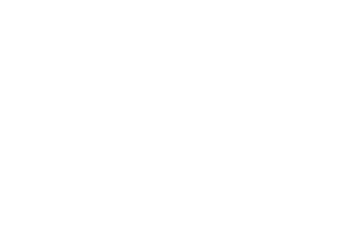 New Spark Therapy